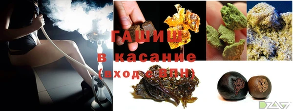 стаф Богданович