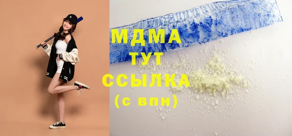 индика Богородск