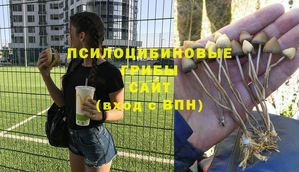 скорость Белокуриха